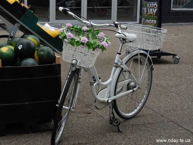 Данія, велосипед з квітами