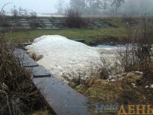 Екологічна катастрофа на Тернопільщині: хто скидає нечистоти у Нічлаву?