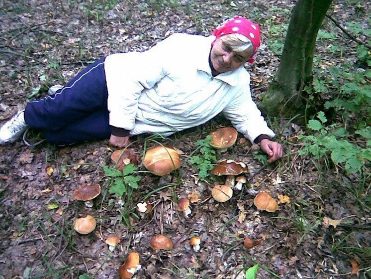 Тамара Столярова і велика сім’я  білих грибів.