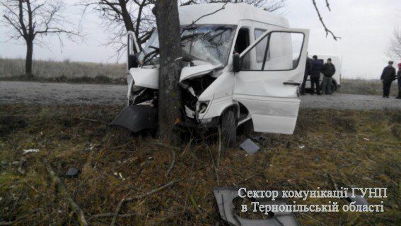 На Тернопільщині водій буса врізався в дерево (ФОТО)
