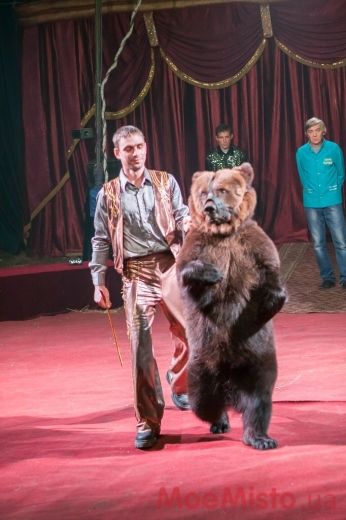Тернопільські «еменесники» врятували під час пожежі циркового ведмедя