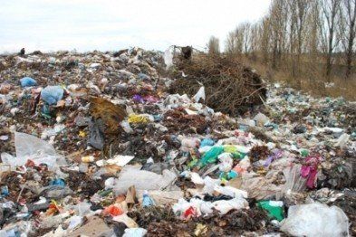 Американський інвестор зацікавився сміттєзвалищем у Малашівцях, що на Тернопільщині