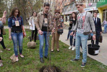 У сквері Миру тернополяни висадили сливи Пісарді: за деревами стежитимуть охоронці та відеокамери