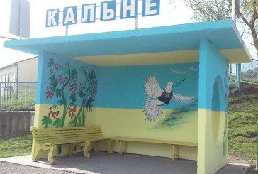 На Зборівщині села розмалювали у патріотичні барви (ФОТО)