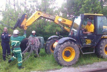 Кременецькі «еменесники» врятували корову, яка потрапила в яму (ФОТО, ВІДЕО)