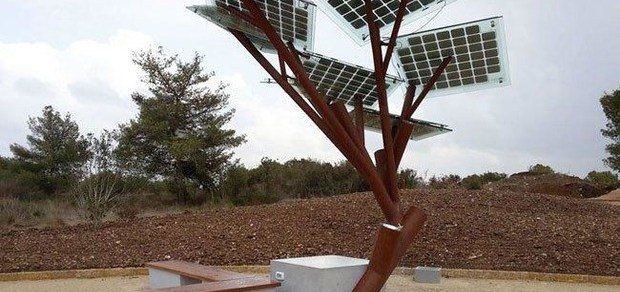 На набережній  Тернопільського ставу встановлять «сонячні дерева»
