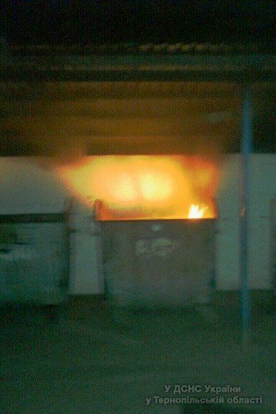 На Бучаччині згорів мікроавтобус «Мітцубісі» (ФОТО)