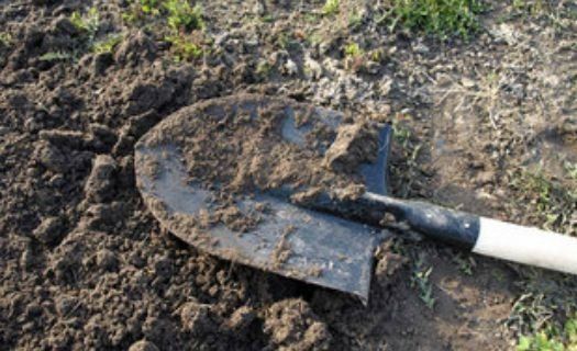 На Тернопільщині син пропив гроші старенької матері, які вона закопала на городі на “чорний день”