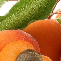 Персиково-абрикосовий рай