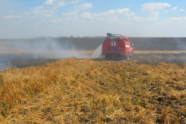 У Козівському районі згоріло 24 гектари ячменю (ФОТО)