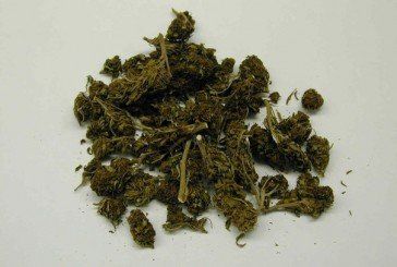 Поліція вилучила у Кременчанина вісім коробок марихуани