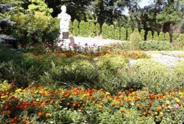 Кременецький ботанічний сад. Трішки краси (Відео)