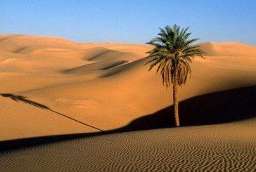 Єгипетські пустелі можна «оживити»