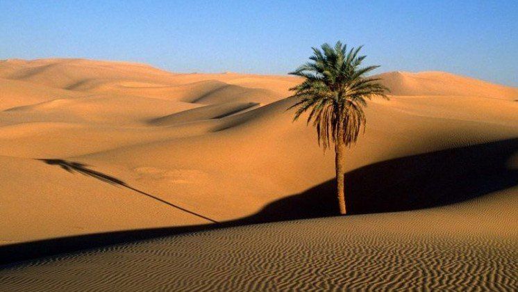 Єгипетські пустелі можна «оживити»