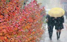 Снігопади, ожеледиці та заметілі: Гідрометцентр попередив українців про аномально теплу зиму