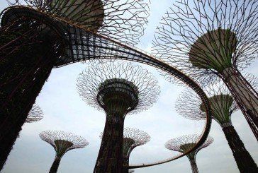 Створено штучні дерева, що виробляють електрику