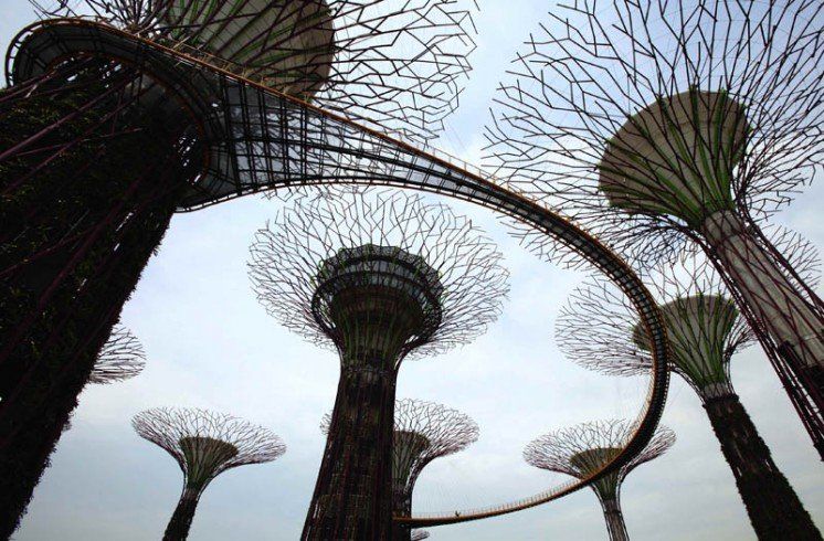 Створено штучні дерева, що виробляють електрику