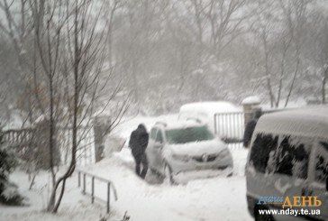 Аномальний снігопад завдав Тернопільщині збитків майже на 2 млн грн