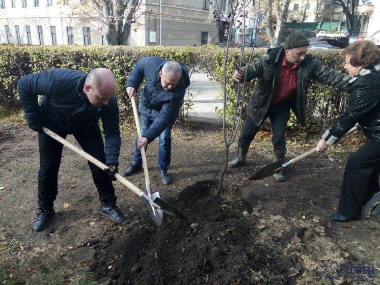 У Тернополі висадили «Алею волонтерів»