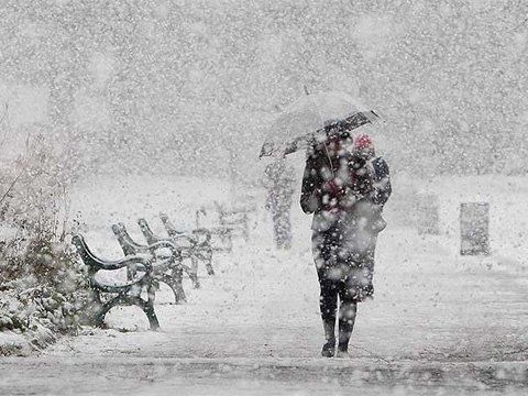 Синоптики попередили: до України повертається снігова стихія