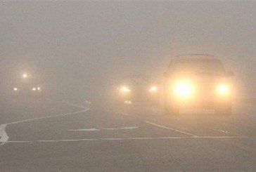 Попередження для водіїв: у п’ятницю на Тернопільщині - туман і ожеледиця