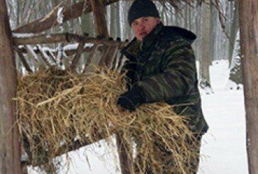 В урочищі «Заброддя» на Кременеччині підгодовують диких тварин (ФОТО)