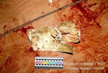 Тернопільські поліцейські підозрюють, що донька нанесла своїй матері майже 30 ран ножем: потерпіла померла (ФОТО)