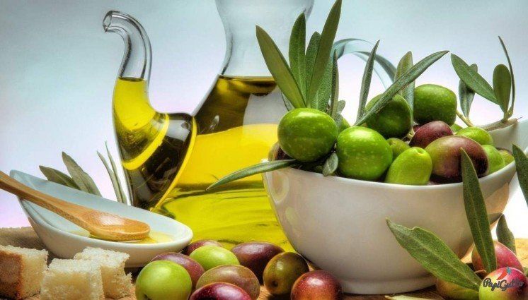 Оливкова олія: еліксир краси та молодості