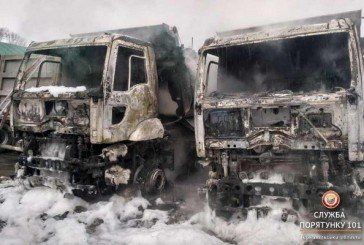 Поблизу Тернополя згоріли дві вантажівки «Ford Cargo» (ФОТО)