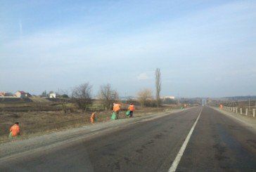 Шляховики наводять лад на узбіччі траси Львів-Тернопіль (ФОТО)