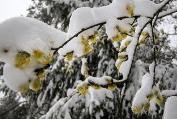 В Україну йде циклон з сильними дощами і снігом