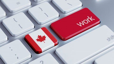 Канада даватиме дозвіл на трудову міграцю за два тижні (список професій)