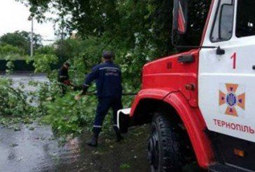 Негода на Тернопільщині повалила дерева і «вимкнула» світло у 59 населених пунктах (ФОТО)