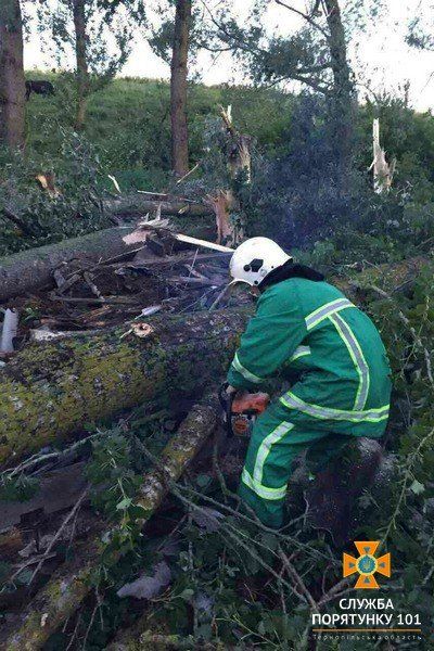 У селі на Збаражчині вітер повалив майже 80 дерев і негода пошкодила будівлі (ФОТО)