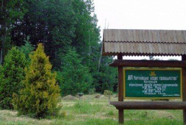 В Улашківському лісництві на Тернопільщині заклали дендропарк (ФОТО)