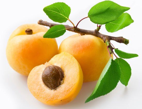 Чим корисний абрикос?
