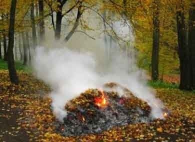 Тернополян попереджають: за спалювання листя – штрафуватимуть