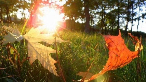 Прогноз погоди на 17 листопада: осінь потішить сонцем більшість областей України