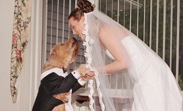 Британка вийшла заміж за свого собаку