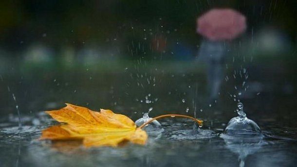 Прогноз погоди на 11 листопада: майже всю Україну охоплять дощі