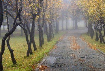 Вівторок на Тернопільщині - холодний, вітряний, туманний і дощовий