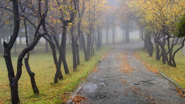 Вівторок на Тернопільщині – холодний, вітряний, туманний і дощовий