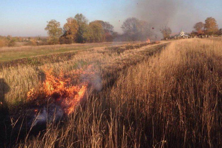 На Зборівщині мало не згоріло 50 гектарів кукурудзи (ФОТО)