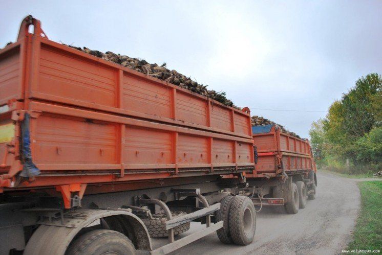 Поліцейські Тернопільщини нагадують: за забруднення доріг під час вивозу цукрових буряків – штраф