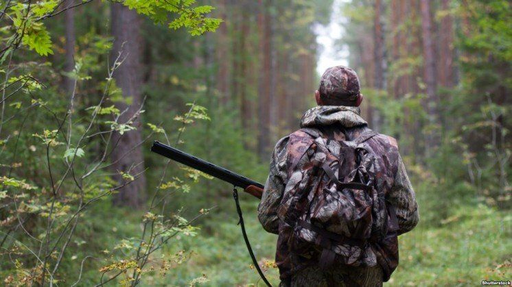 У Буданівському лісництві на Тернопільщині «вполювали» браконьєрів