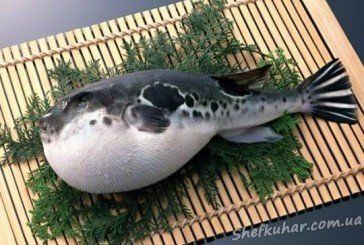 Смертельно небезпечна: як готують і за що люблять рибу фугу