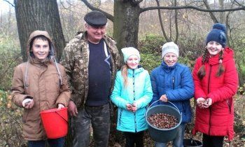Школярі Бучаччини зібрали 200 кілограмів насіння жолудя (ФОТО) 