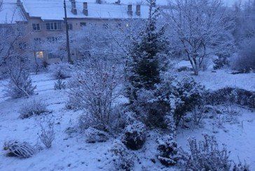Дороги Тернопільщини від першого снігу прибирали 180 працівників і 79 машин