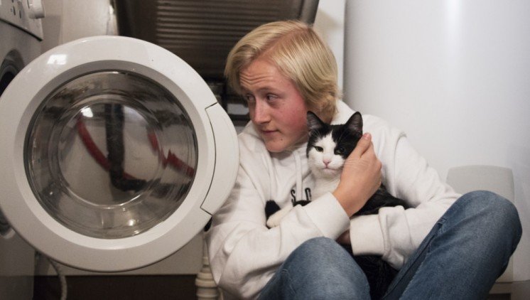 У Норвегії кота 40 хвилин прали в машинці