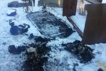 На Лановеччині у своєму будинку заживо згорів чоловік (ФОТО)